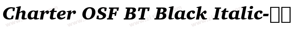 Charter OSF BT Black Italic字体转换